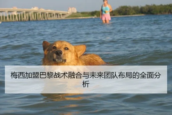 梅西加盟巴黎战术融合与未来团队布局的全面分析